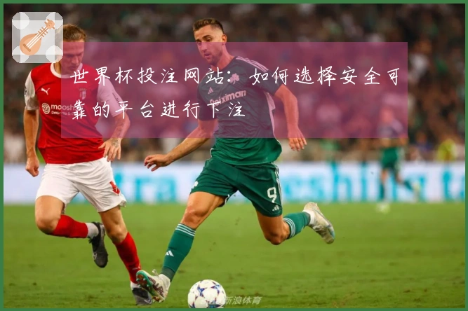 世界杯投注网站：如何选择安全可靠的平台进行下注