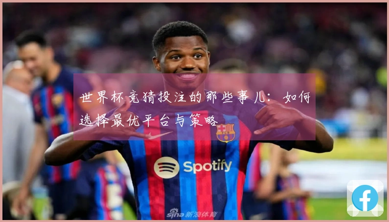 世界杯竞猜投注的那些事儿：如何选择最优平台与策略