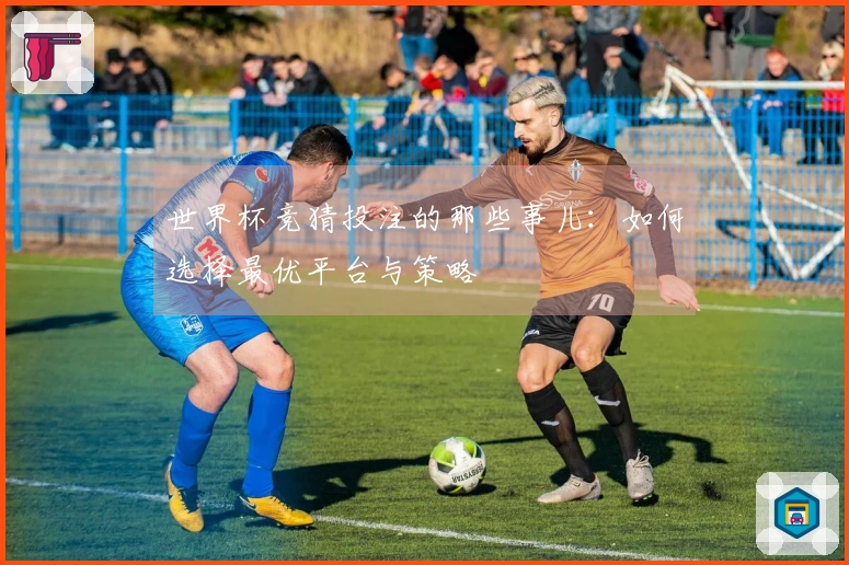 世界杯竞猜投注的那些事儿：如何选择最优平台与策略